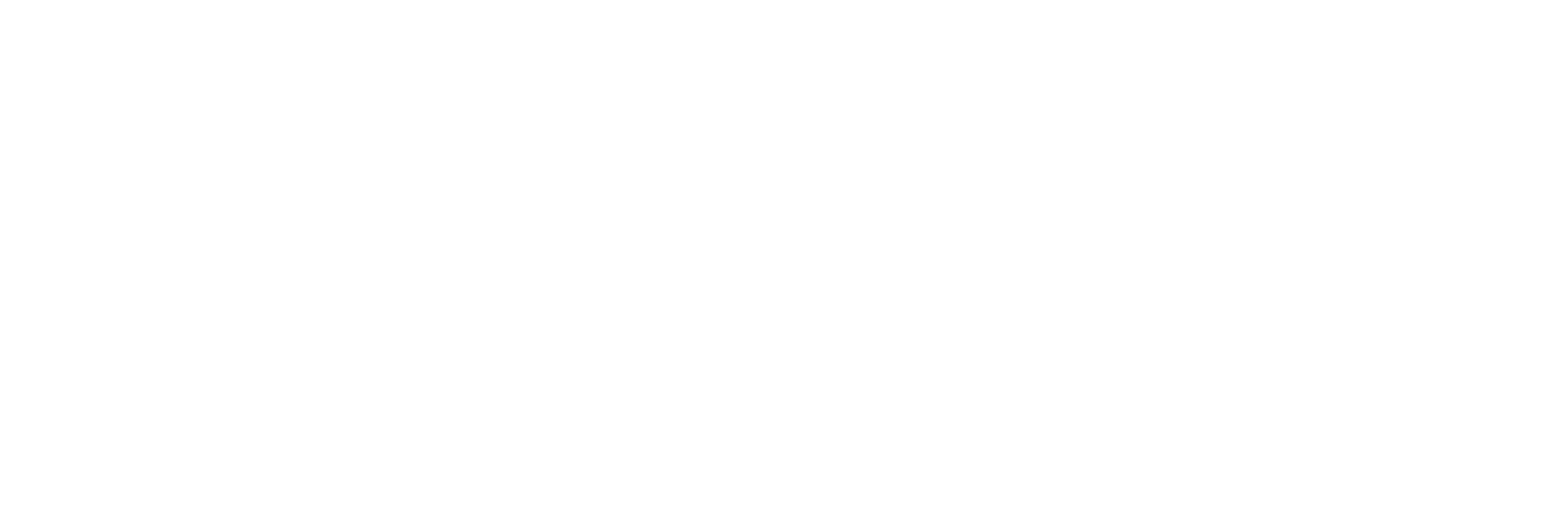2-swiss-wealth-limited-logo-White-1.png